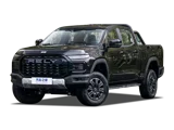 Rely R08 EV