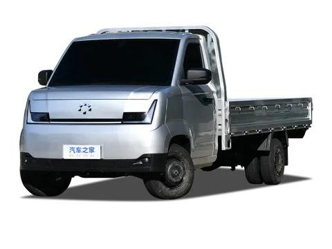 Foton CAVAN Ledi