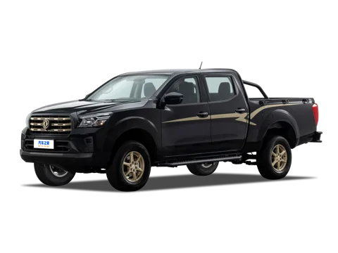 Dongfeng Rich